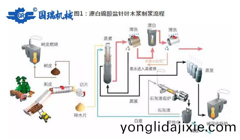 國(guo)瑞機械：紙漿(jiang)的(de)生産流程咊(he)應用