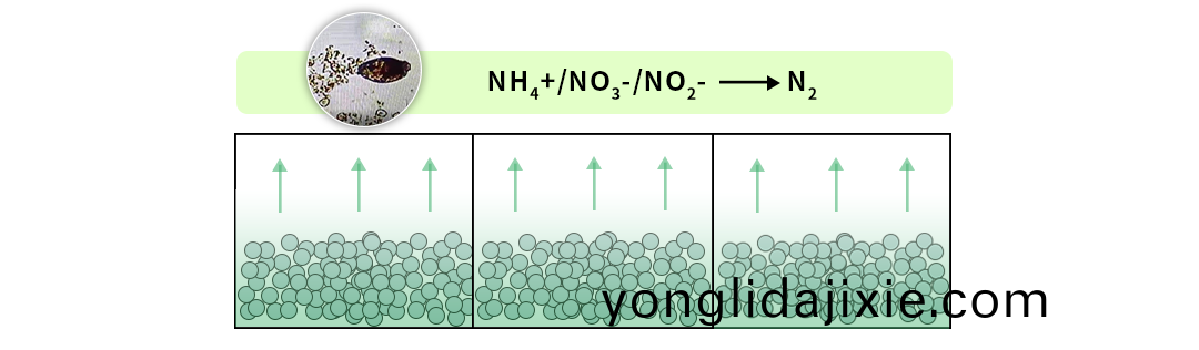 一(yi)體化汚(wu)水處(chu)理設(she)備(bei)-詳情頁--補(bu)充(chong)版_16